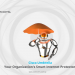 ctelecoms-smart-internet_protector-ksa