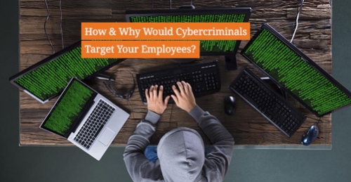 How_why_cybercriminals_target_people_human_assets_employees